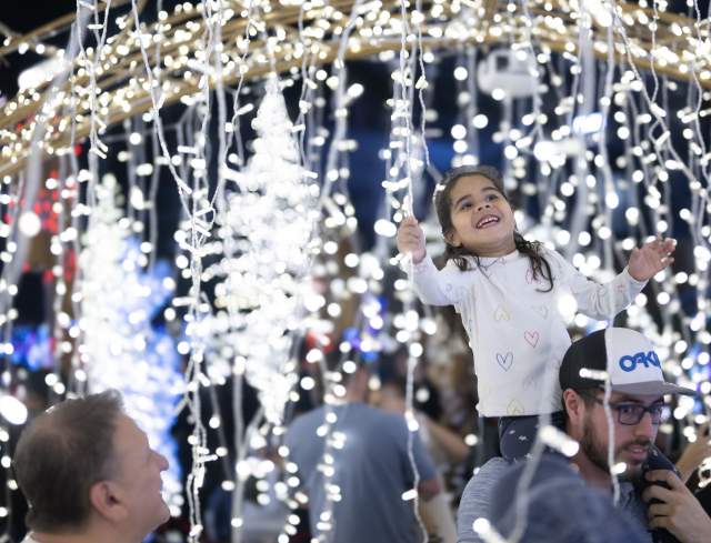 Classic Christmas Alpine Adventure Lights Up Houston