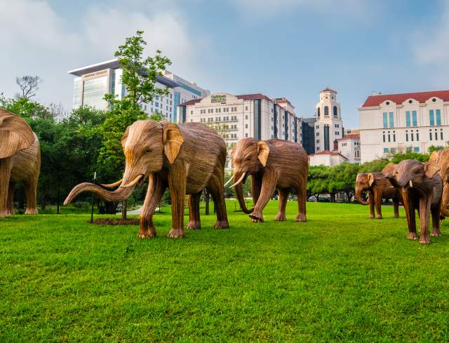 The Great Elephant Migration Comes to Hermann Park