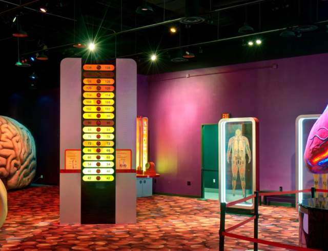 The Journey to End Cancer: From Cause to Cure