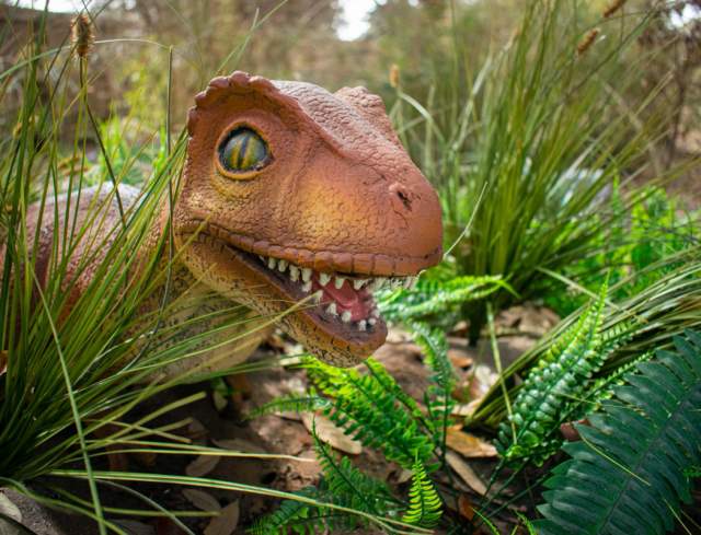 Jurassic Giants at the Houston Zoo