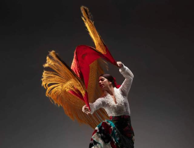 A Flamenco Journey