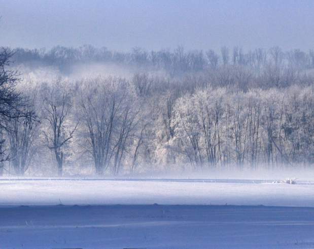 A snowy field in the morning