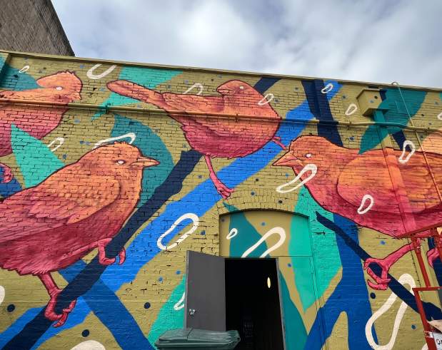 bird mural