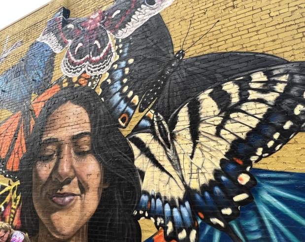 Butterflies and Carmen