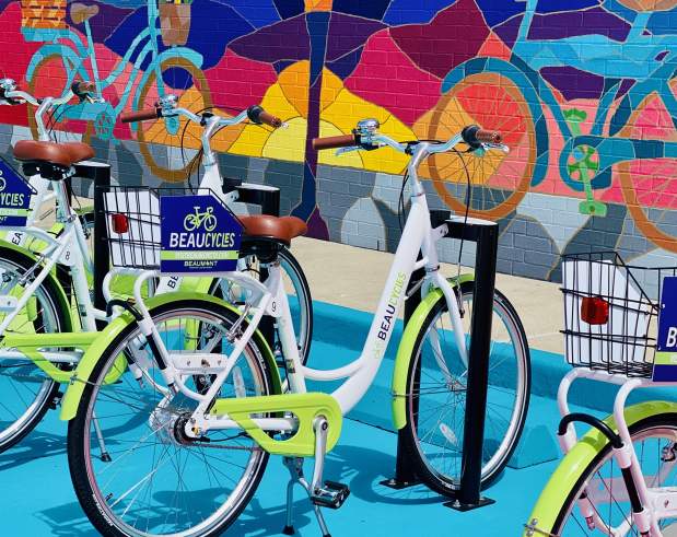 Bikes and Birds Mural