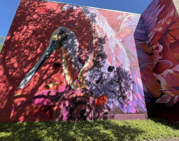 a colorful mural showing a beautiful roseate spoonbill