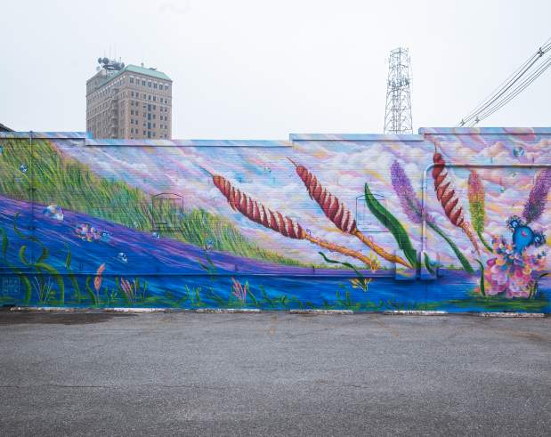 a colorful mural that shows a marsh scene and whimsical fish