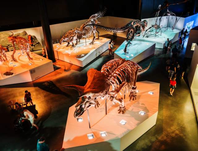 Houston Museum of Natural Science