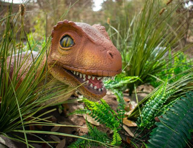 Jurassic Giants at the Houston Zoo