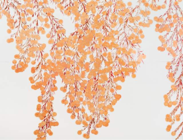 Donald Sultan: New Mimosa Paintings