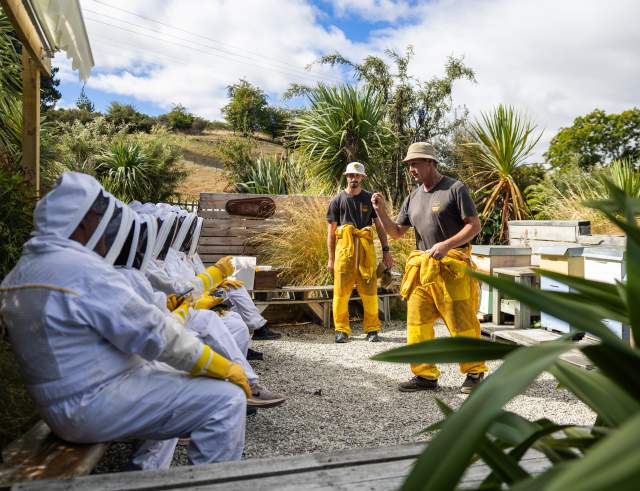 Buzz Stop Ltd.