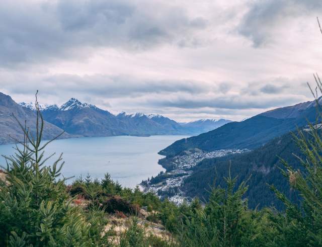 Wilding Pine Control at Queenstown Hill