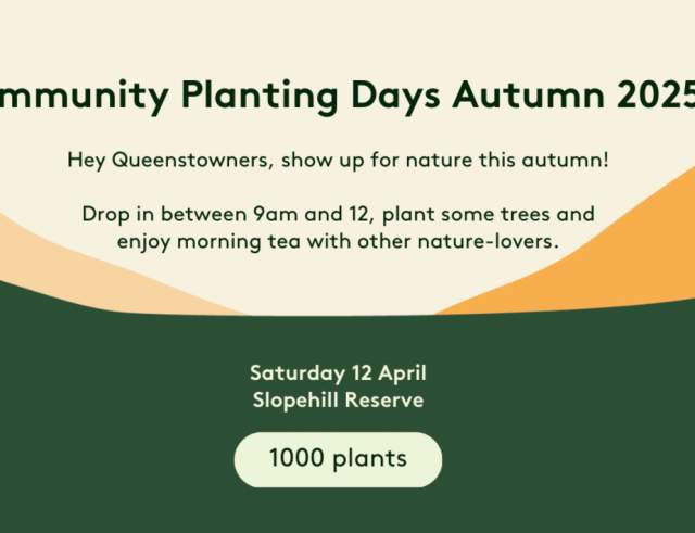 Community Planting Day, Slope Hill Reserve