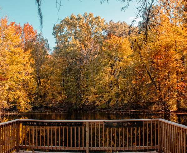 Best Places to See Fall Foliage in Evansville