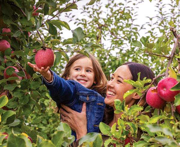 Mom and daughter apple picking