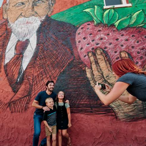 Splitlog Mural