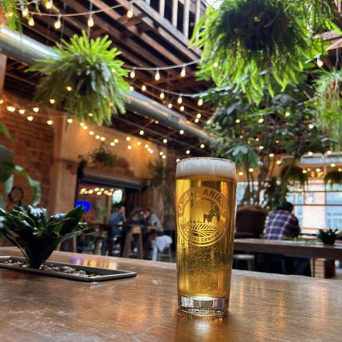 Casual Animal Brewing Company
