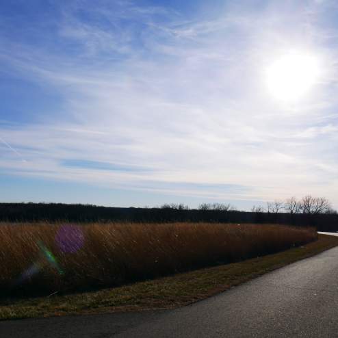 Kill Creek Park