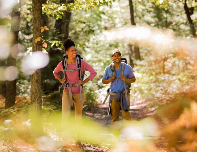 Appalachian Trail 24