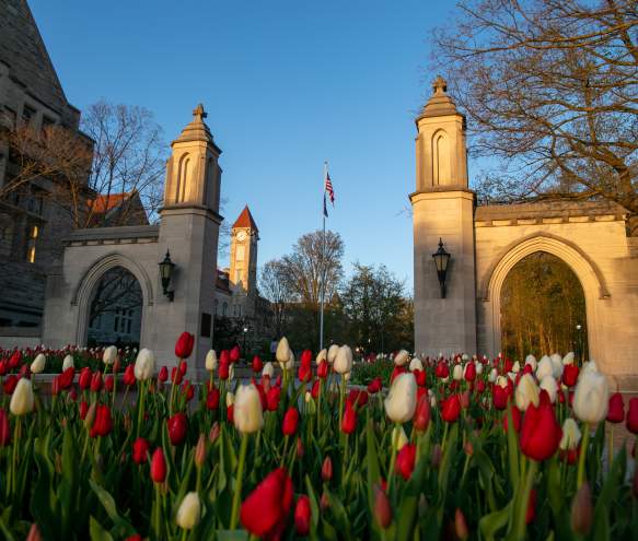 sample gates spring