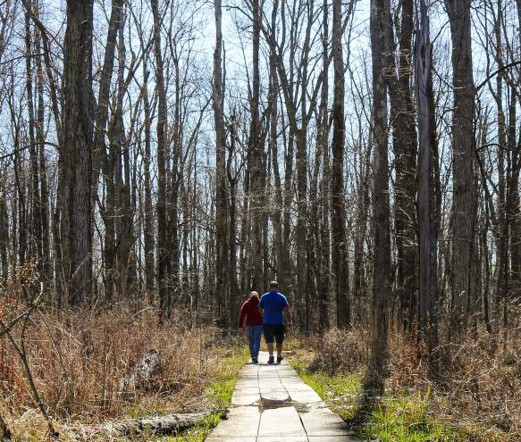 A Nature Lover's Guide to Spring in Bloomington