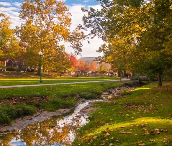 5 Reasons to Visit Bloomington This Fall