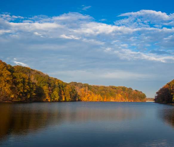 Griffy Lake during fall