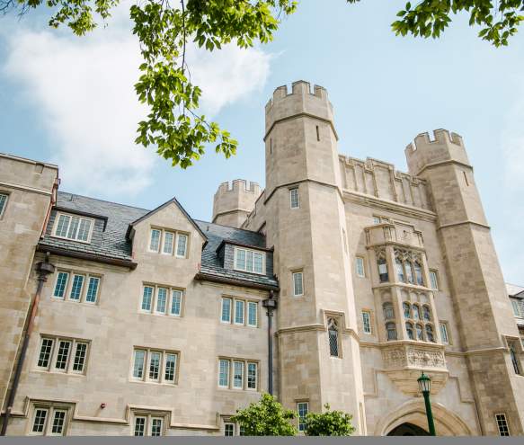 Experience the Magic of Harry Potter in Bloomington