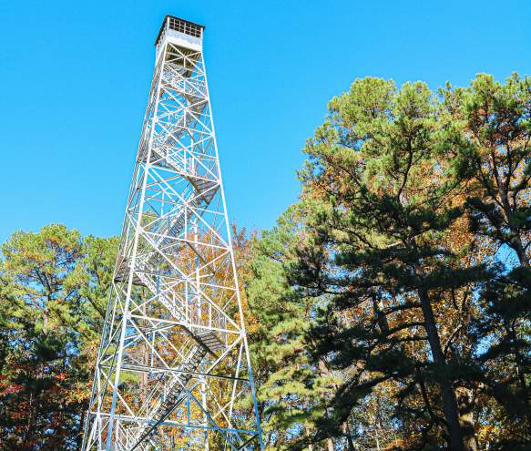 A shot of Hickory Ridge Fire Tower from the ground