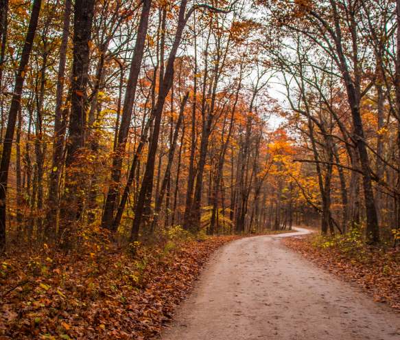 Bloomington's Prettiest Spots for Fall Photos