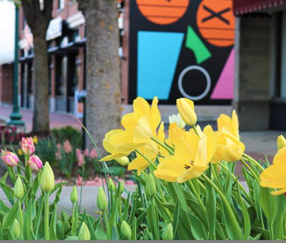 Top Places to Explore in Bloomington This Spring