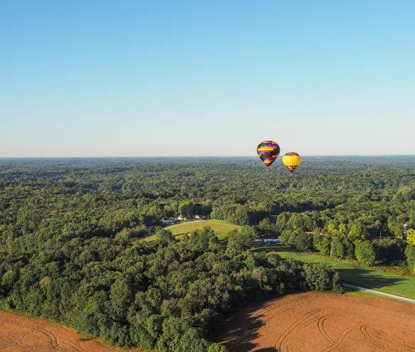 The Ultimate Bloomington Bucket List