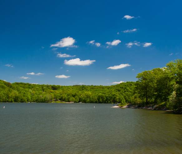 Things to Do at Lake Lemon