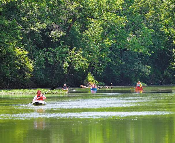 A photo of four people paddling down Drakes Creek in Kayaks in Bowling Green, KY.