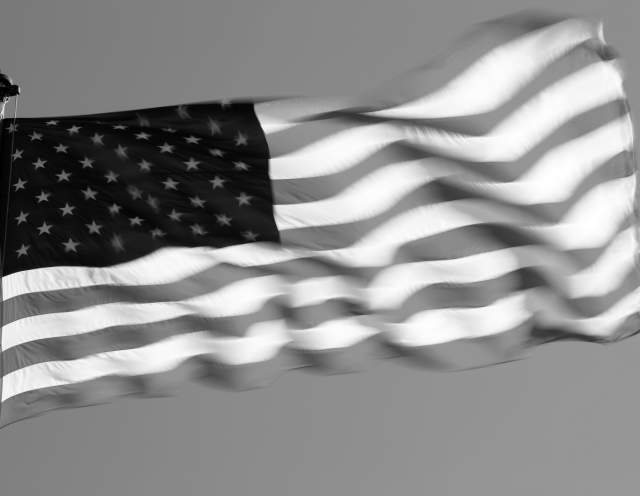 b&w flag