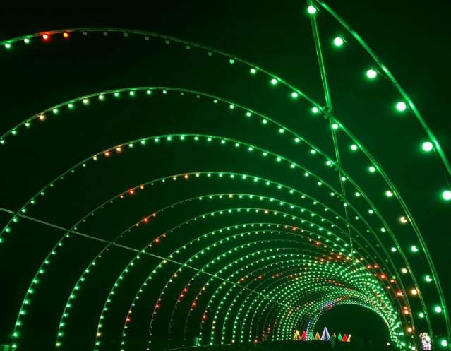 Festival of Lights