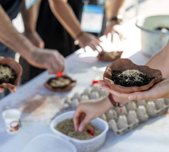 ICCA and La Huella Verde Granada Tree-Planting Initiative Supports Sustainability