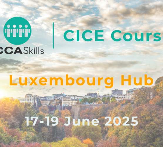 ICCASkills CICE Course - Luxembourg June 2025 Class