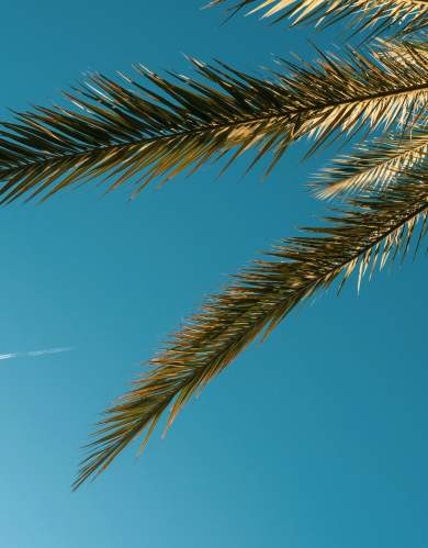 Conoce Fuengirola