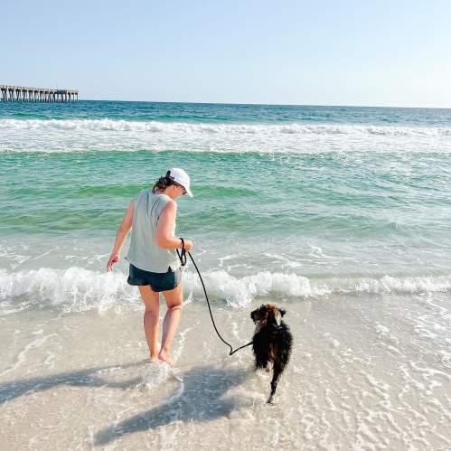 Dog and owner on the beach