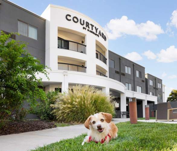 a small dog lounges on green grass outside the Courtyard by Marriott in Amarillo, with the hotel’s modern white facade, balconies, and outdoor seating area set against a bright blue sky