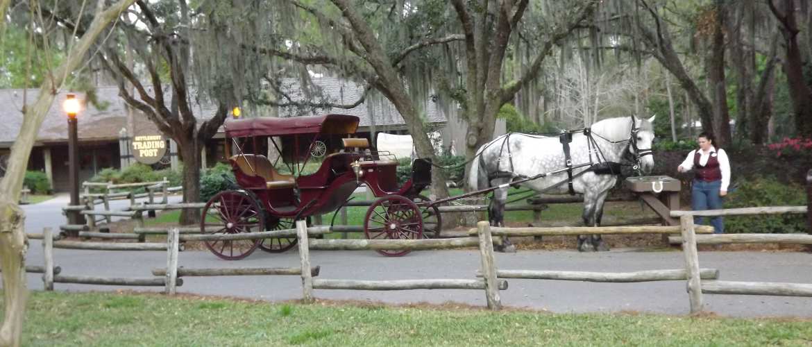 Ways to Enjoy Disney s Fort Wilderness Resort