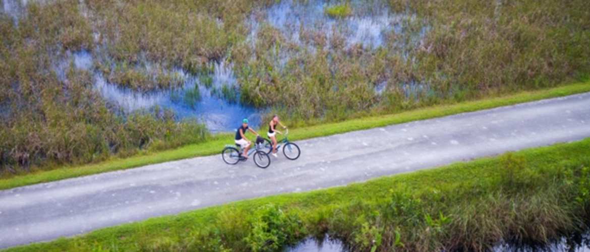 The Everglades A Visual Tour Through Shark Valley