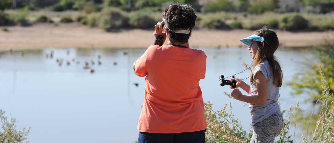 Birding at Veterans Oasis Park