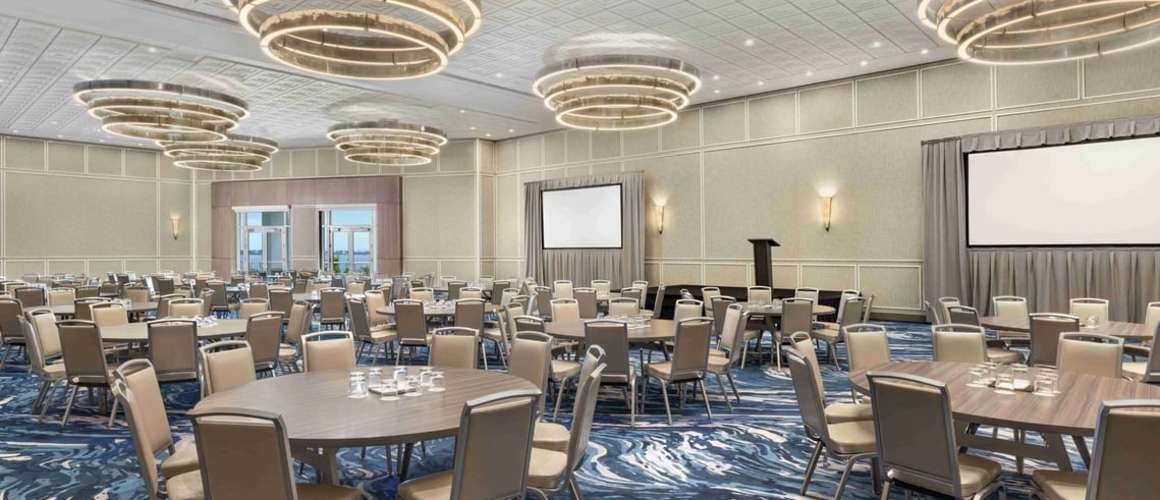 Royal Tern - Junior Ballroom