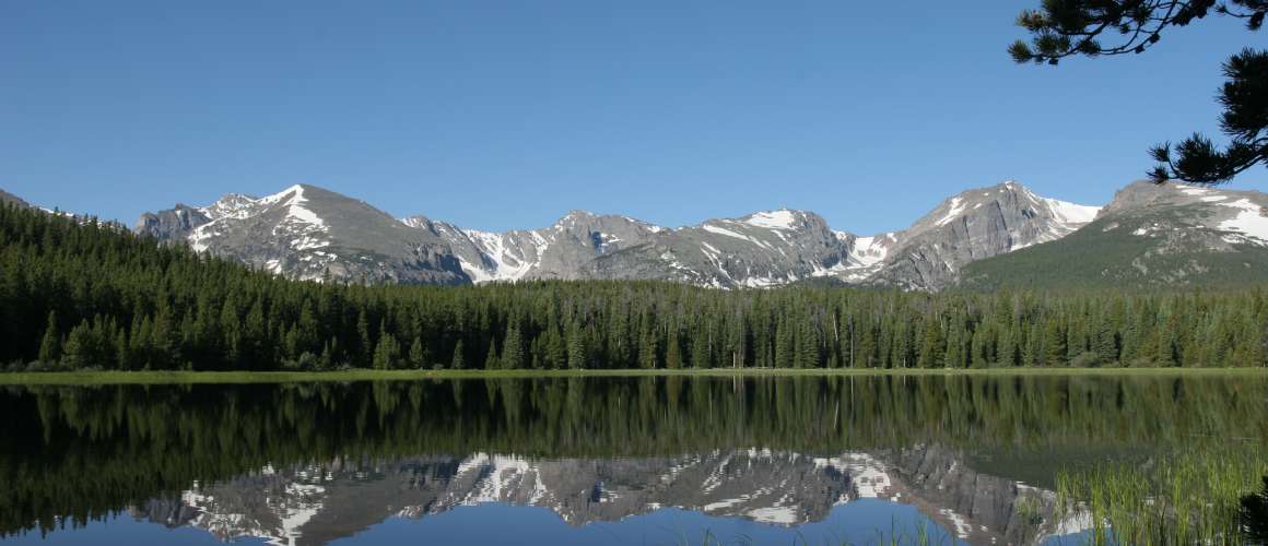 Summer in the Mountains