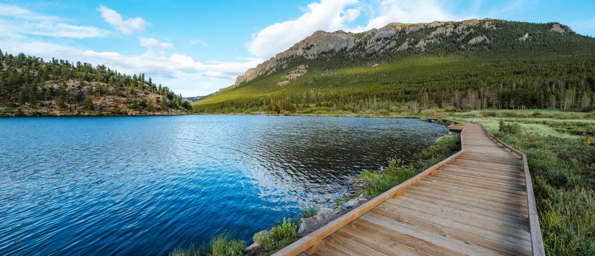 Lily Lake