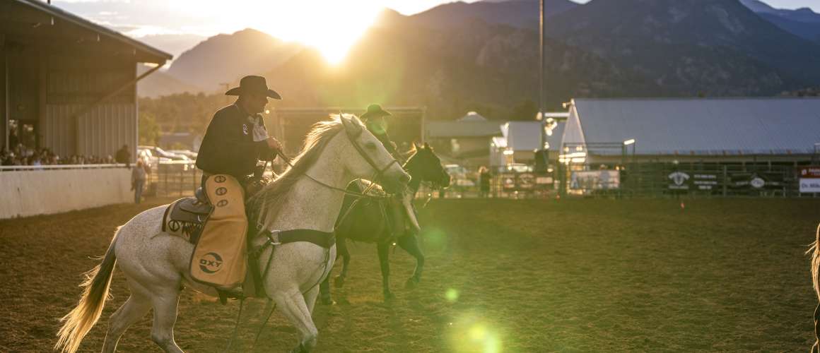 Rooftop Rodeo
