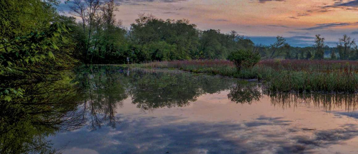 Bush River