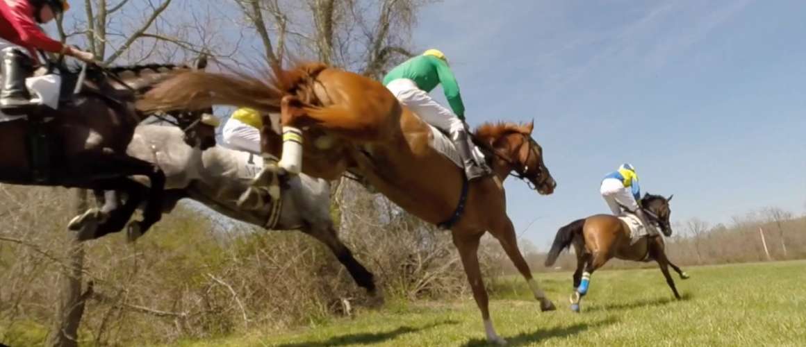My Lady's Manor Steeplechase Races